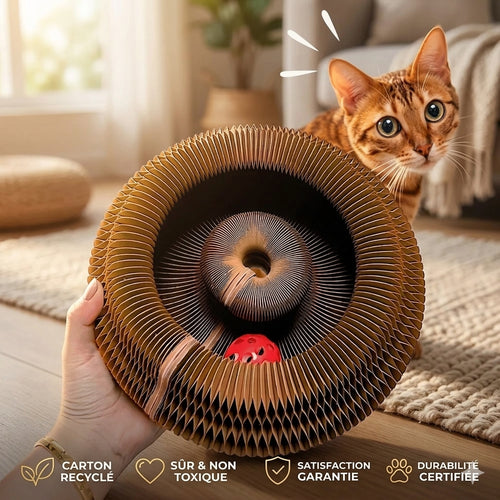 Griffy™ le griffoir interactif