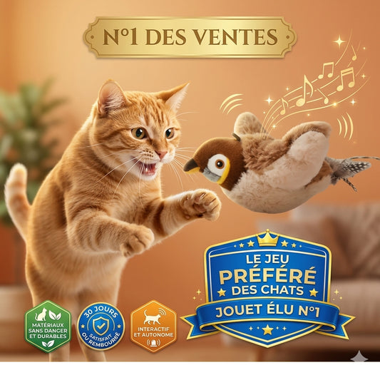 Plumy™ Jouet intéractif pour chat