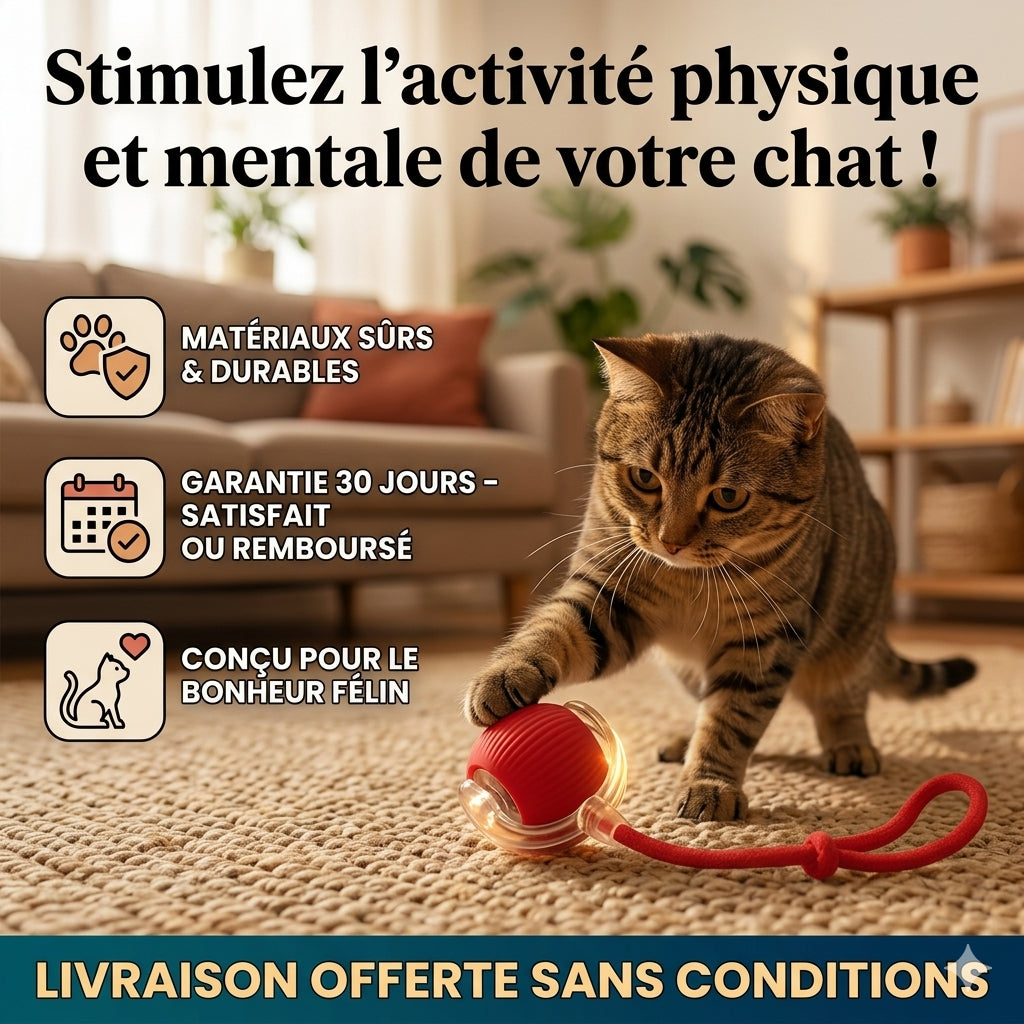 Rolly™ La boule interactive