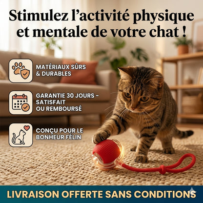 Rolly™ La boule interactive